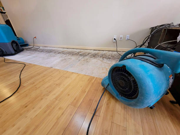 Professional Ceiling Water Damage Repair technician working in Glen Allen, AL